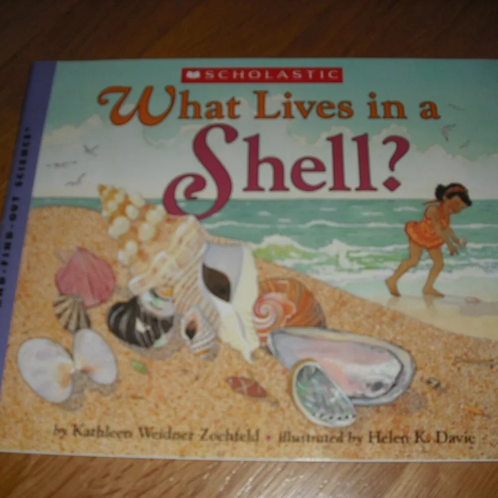 Go Rock Collecting + How Seed Grows + book about Bubbles + What Lives in a Shell